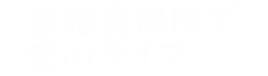 自賠責保険で安心ライフ